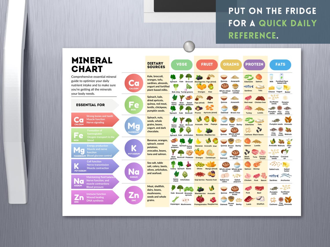 Nutrition Pro Bundle – All‑in‑One Pack for Nutrition Coaches & Wellness Brands