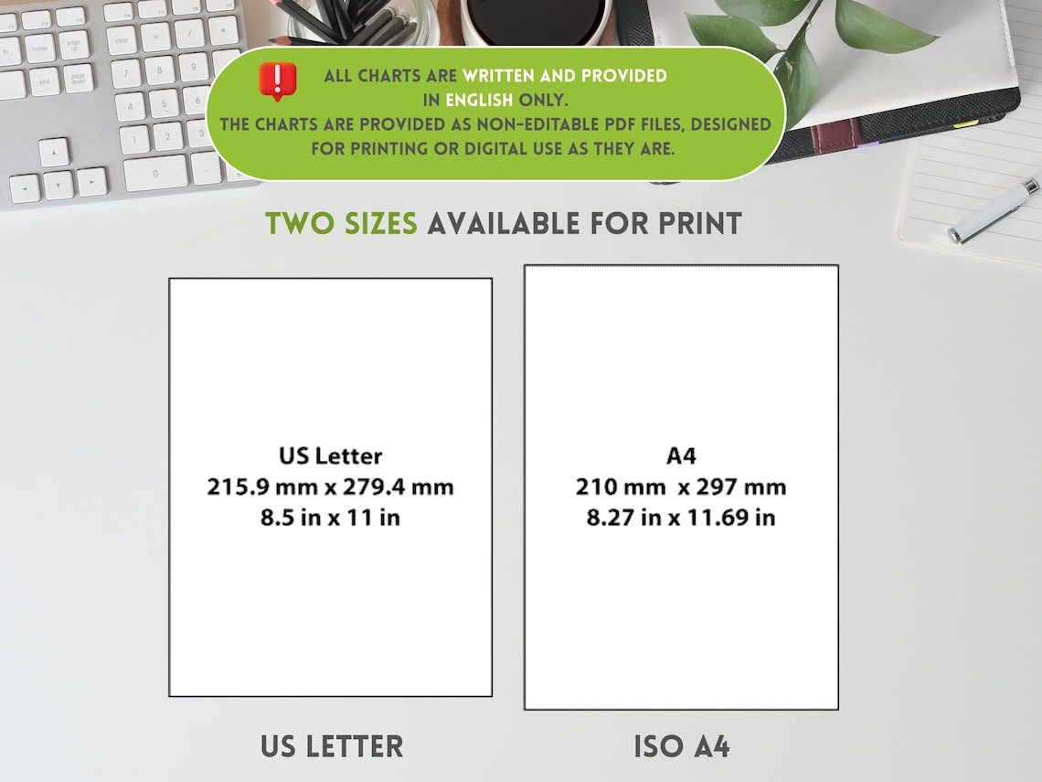 Nutrition Pro Bundle – All‑in‑One Pack for Nutrition Coaches & Wellness Brands